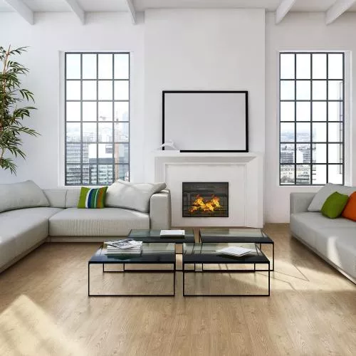 D50567 Дуб Лейнстоун