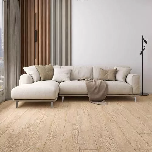 D51047 Дуб Сальва