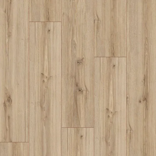 D1845 Дуб Глориус