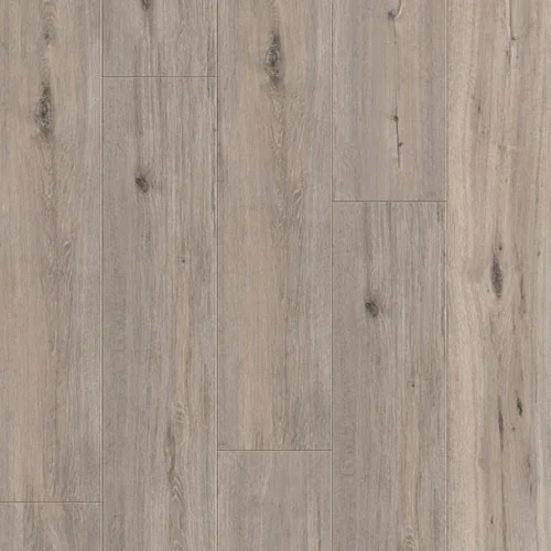 D1848 Дуб Монолит