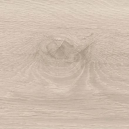 D4944 Дуб Стемма