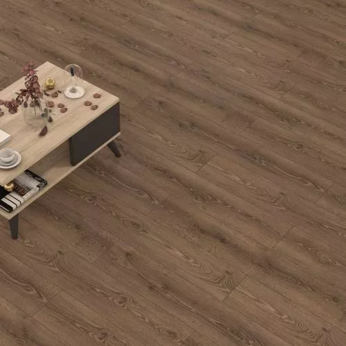 D50797 Дуб Риналдо