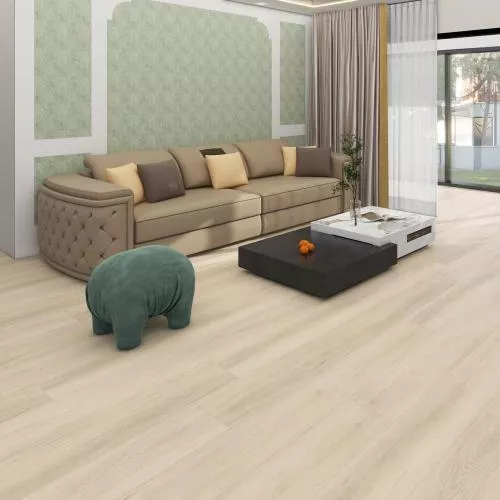 50747 Дуб Бирта