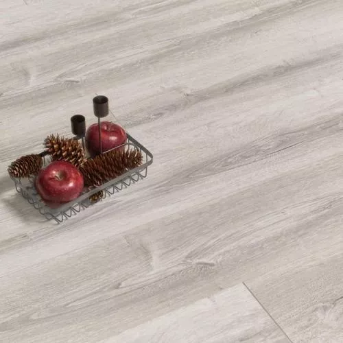 50857 Дуб Шеппард