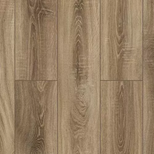 D2048 Дуб Барбикан