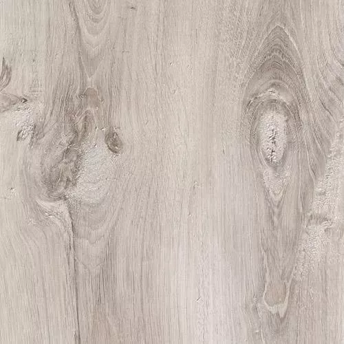 D50407 Дуб Хелльбрунн