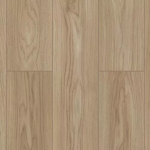 D50587 Дуб Майлен