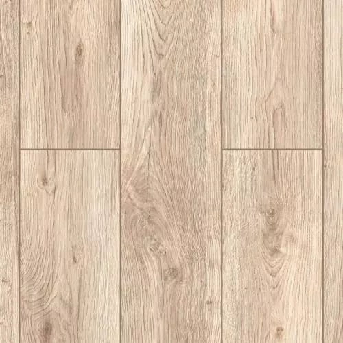 D50907 Дуб Руфус