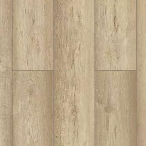 D50917 Дуб Риден