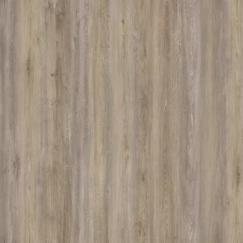 D50057 Дуб Ригель
