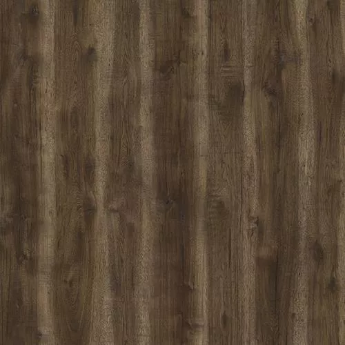 D59777 Дуб Гомати