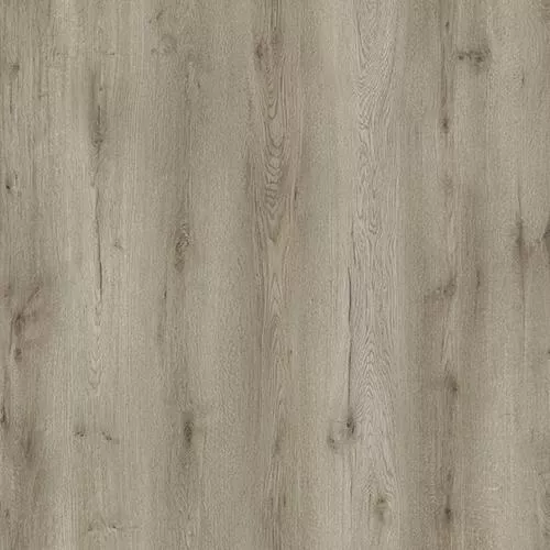 D59787 Дуб Годавари