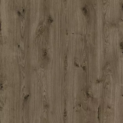 D59807 Дуб Рапти