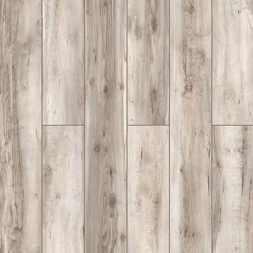 D59817 Дуб Биас