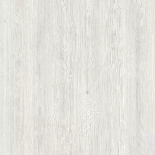 D59827 Дуб Маханади