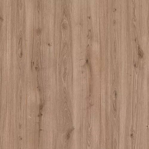 D59857 Дуб Нармада