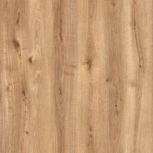 D59897 Дуб Кавери