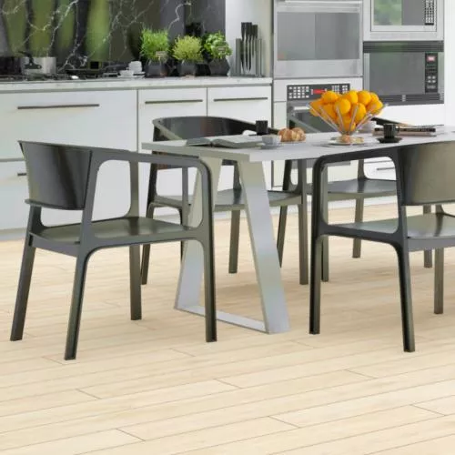 D40067 Дуб Арена