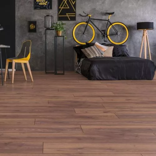 D40447 Дуб Мальва