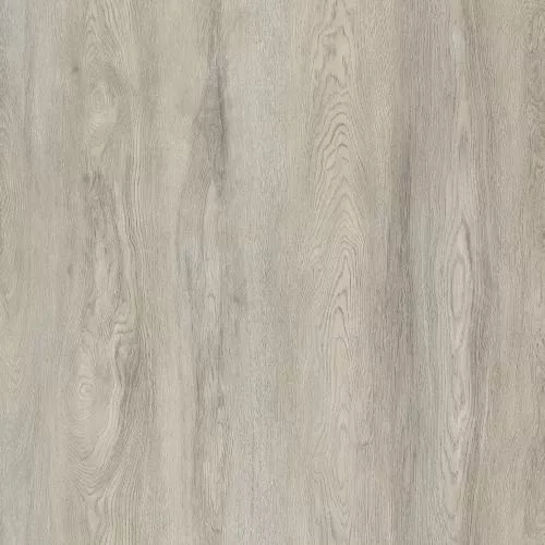 50037 Дуб Риола