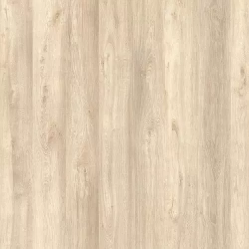 50207 Дуб Теруэль