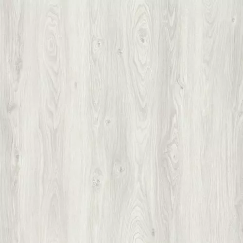 50327 Дуб Сивиано