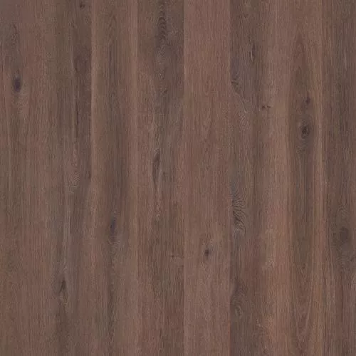 50457 Дуб Гайс