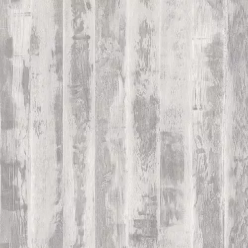 50467 Риккарди