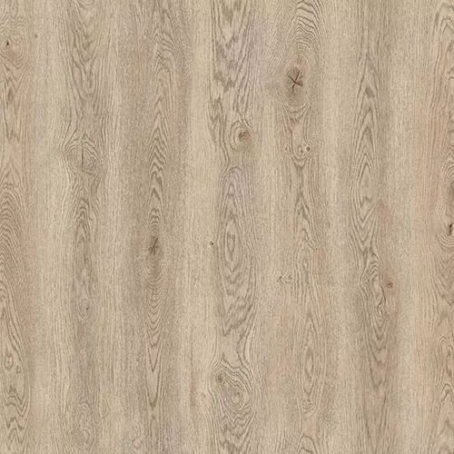 D59747 Дуб Мумбаи