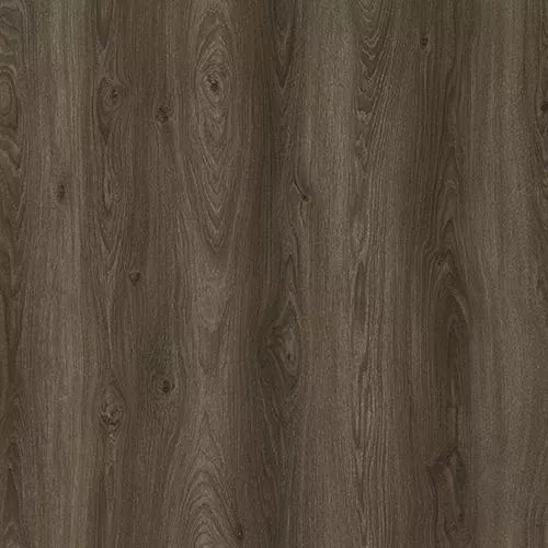 D59767 Дуб Пуна