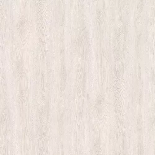 D59867 Дуб Калькутта