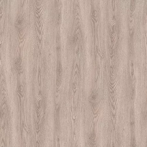 D59877 Дуб Ченнаи