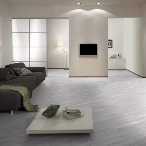 D1817 Дуб Независимость