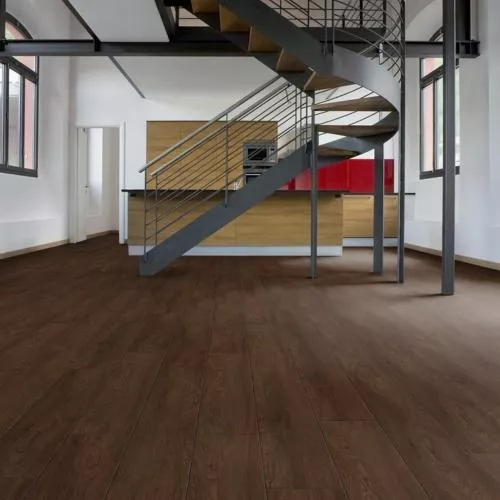 D4843 Дуб Таурус