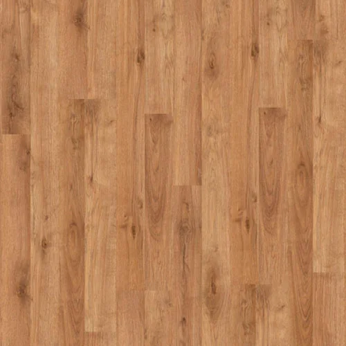 D1805 Дуб Дворцовый