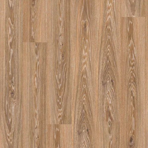 D3529 Дуб Олинда