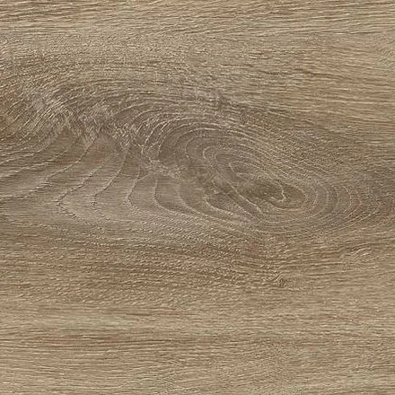 D1853 Дуб Фиеста