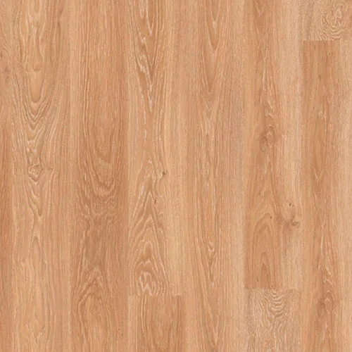 D2413 Дуб Белёный