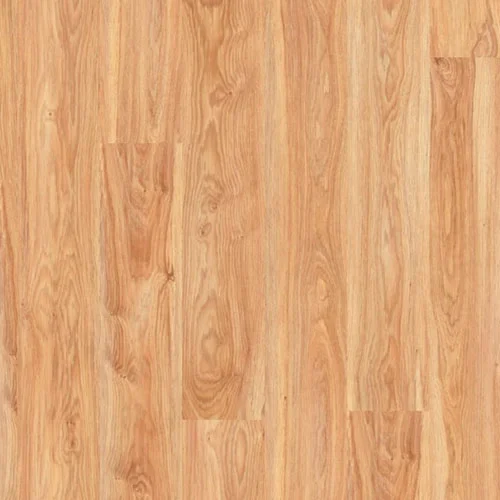 D2717 Дуб Венский