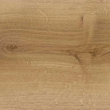 D8146 Дуб Маджоре
