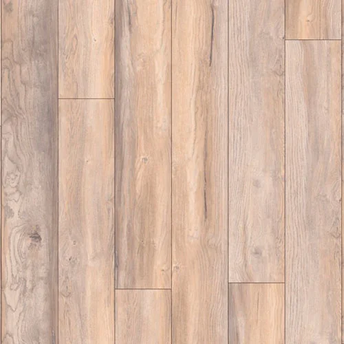 D1871 Дуб Небесный