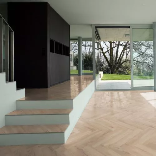 D 3678 Дуб Тулуза