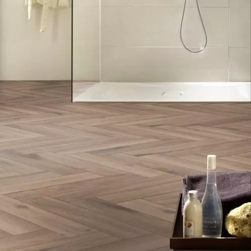 D 3766 Дуб Метц