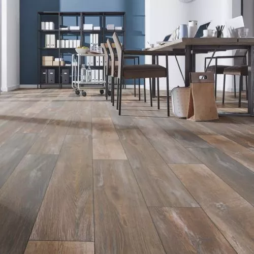 P 1201 Дуб Камелот