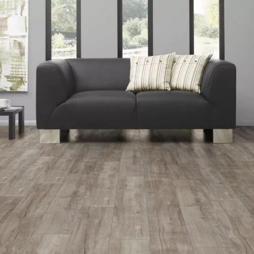 D 3662 Дуб Монтмело серебряный