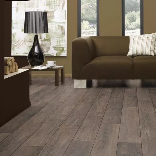 D 4749 Дуб Лава