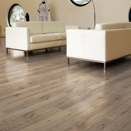 D 4755 Дуб Замок