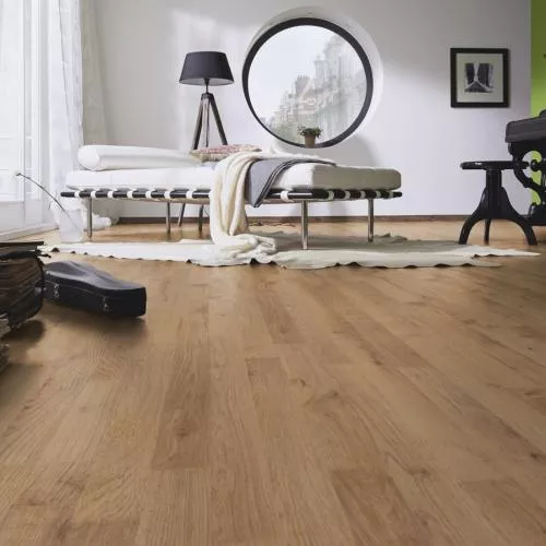 D 4953 Дуб Плау