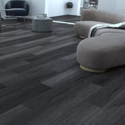 D 2955 Черный и белый