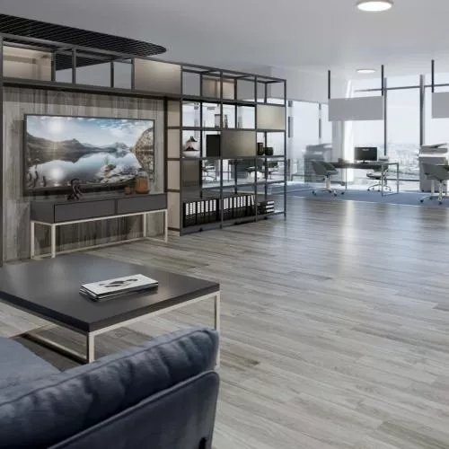 D 3066 Дуб Серебряный